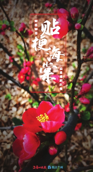 來，跟這些美美的花朵認識一下！