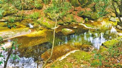 甘肅旅游丨八福溝，西秦嶺深處的水韻秘境