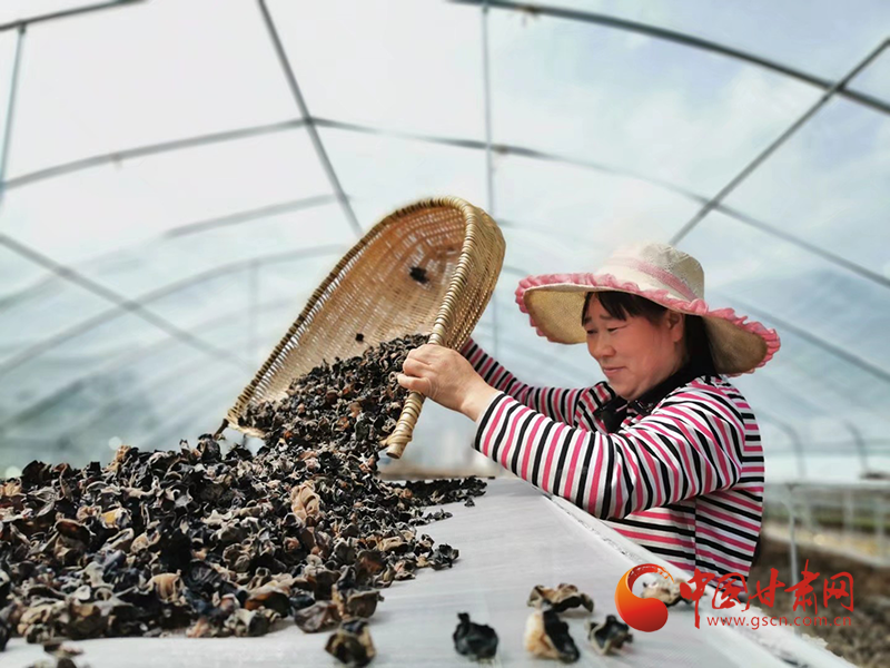 康縣：木耳菌袋結出脫貧致富的“幸?；ā?>
        </a><em>康縣：木耳菌袋結出脫貧致富的“幸?；ā?/em></li>
    <li><a  target=