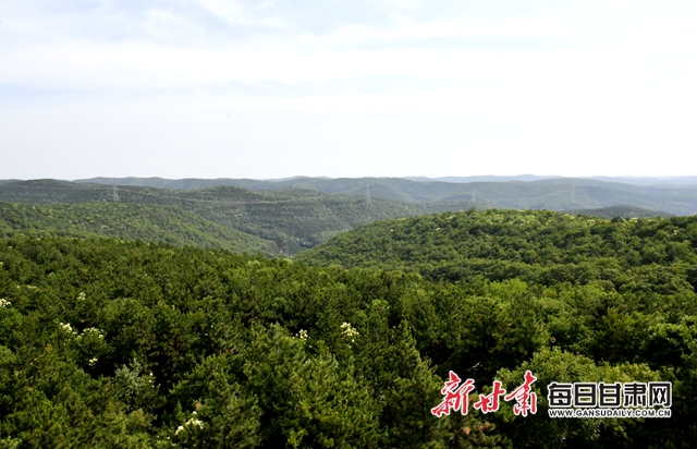 【甘肅生態(tài)環(huán)保媒體行】子午嶺深處，一家三代人用生命守護(hù)黃土高原的“天然生態(tài)屏障”