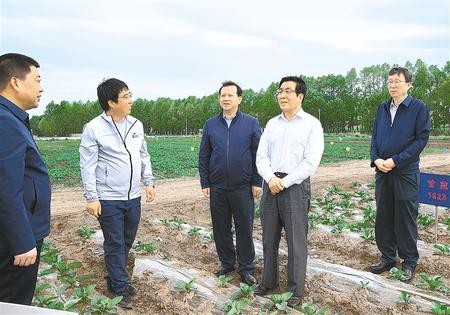 林鐸在天?？h調(diào)研指導(dǎo)脫貧攻堅工作時強(qiáng)調(diào)  拉開架勢持續(xù)用力構(gòu)建扶貧產(chǎn)業(yè)體系 多措并舉固強(qiáng)補(bǔ)弱鞏固提升脫貧成果