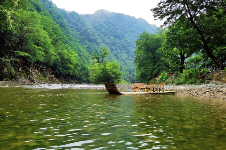 【小隴畫報·95期】康縣：來陽壩，“森”呼吸，我“氧”你