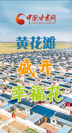 【跟著總書記看甘肅】長(zhǎng)圖|武威黃花灘盛開幸?；?