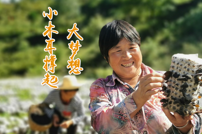 海報丨他們，乘“豐”破浪！