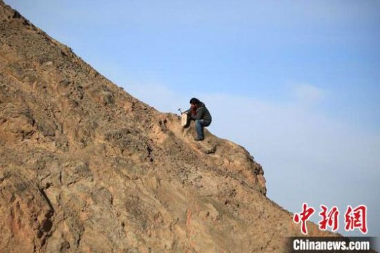 圖為敦煌“80后”畫家張杰龍在敦煌三危山里采集礦石顏料。(資料圖)受訪者供圖