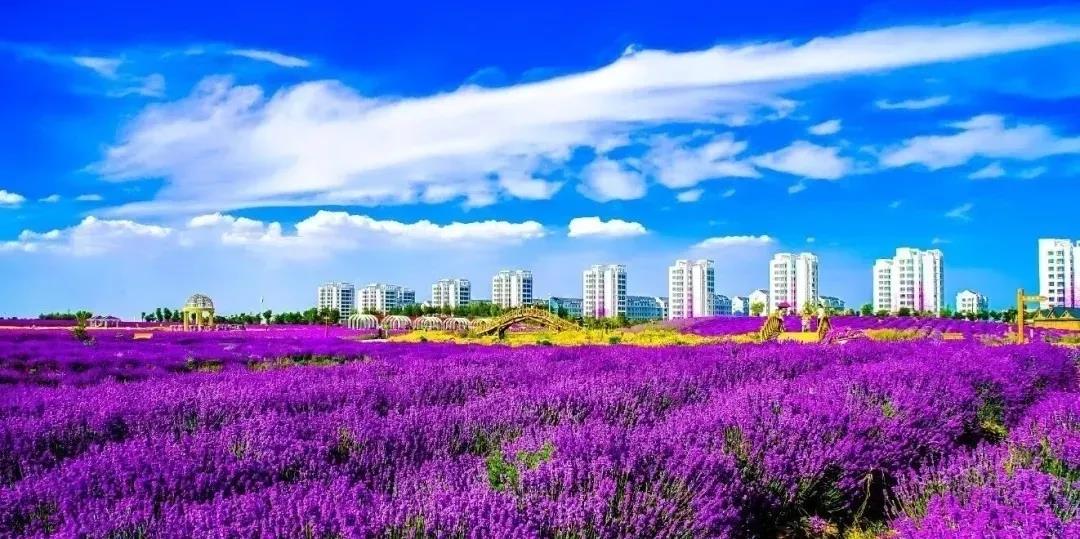 喜訊！金昌蟬聯(lián)全國文明城市