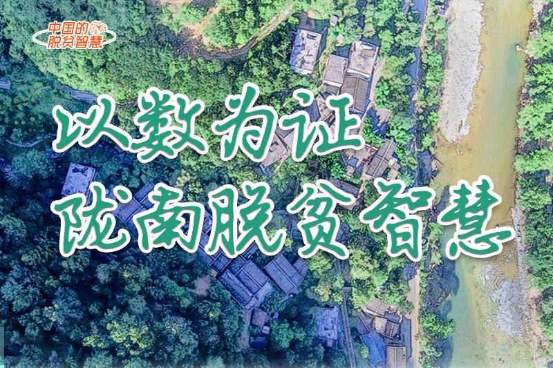 【中國(guó)的脫貧智慧】以數(shù)為證！隴南脫貧智慧來(lái)了！