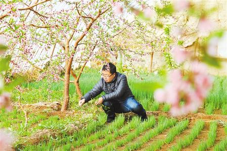 甘肅：時(shí)令催人耕種忙，不誤田間一季春