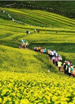 甘肅明確農(nóng)民進(jìn)城落戶:不以退出承包地、林地等為條件