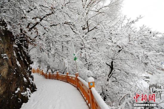 圖為上山的石階被雪覆蓋。張?zhí)鞂?攝