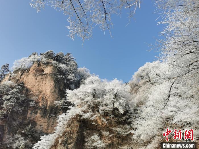 圖為藍(lán)天下霧凇籠罩山脈。　徐振華 攝