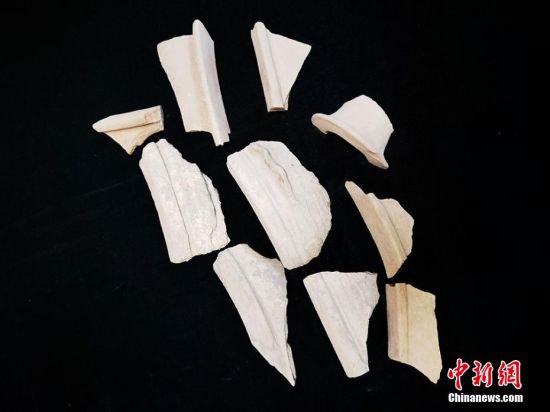 圖為靜寧縣賈河鄉(xiāng)竇坪村出土的彩陶片、紅陶片。 夏劍鋒 攝