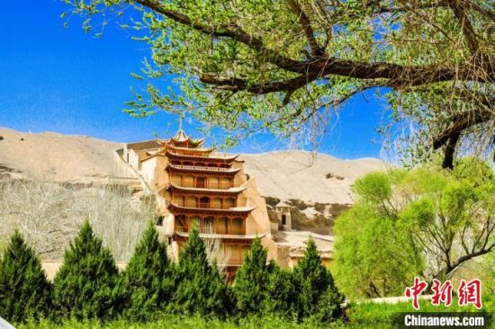 4月的敦煌莫高窟景區(qū)春意盎然。(資料圖) 王斌銀 攝