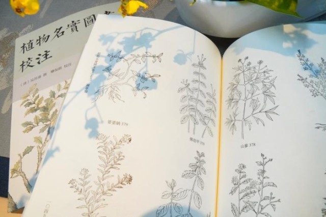 《植物名實(shí)圖考校注》內(nèi)頁(yè)。圖片來(lái)源：中華書局供圖