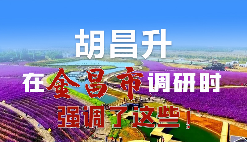 圖解|胡昌升在金昌市調(diào)研時(shí)強(qiáng)調(diào)了這些！