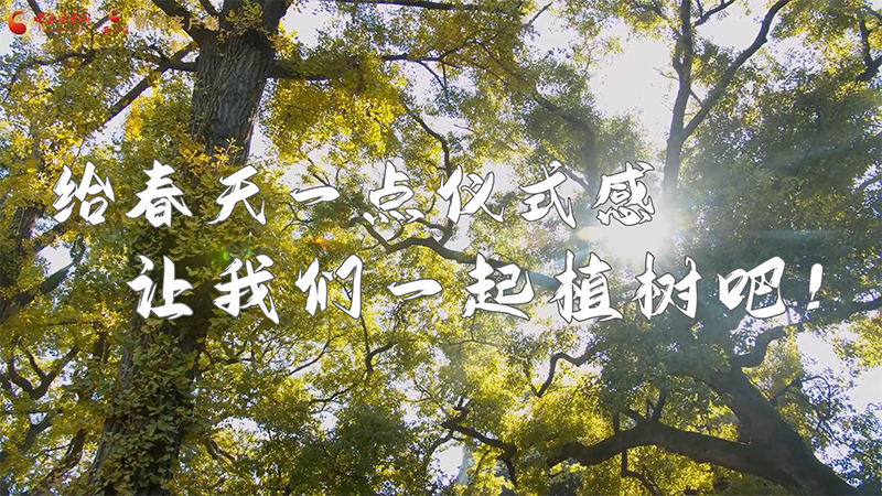 短視頻|給春天一點(diǎn)儀式感，讓我們一起植樹吧！
