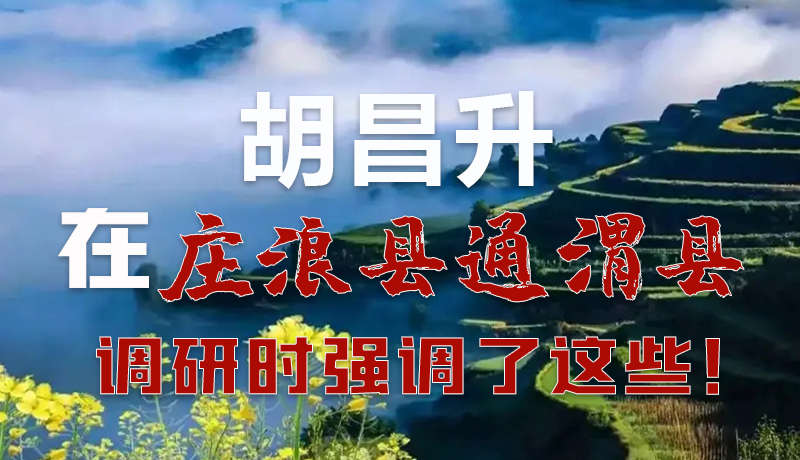 圖解|胡昌升在莊浪縣通渭縣調(diào)研時強調(diào)了這些！