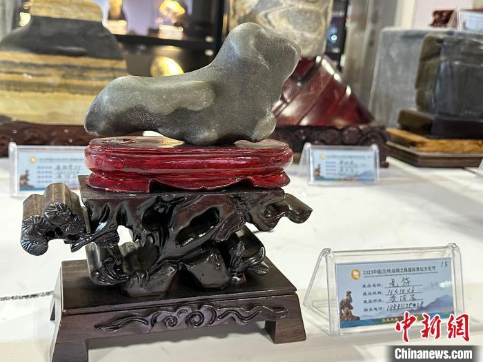 8月3日——7日，2023中國(蘭州)絲綢之路國際賞石文化節(jié)在甘肅國際會展中心舉行。圖為名為《虎符》的黃河石。楊娜 攝</p><p>
