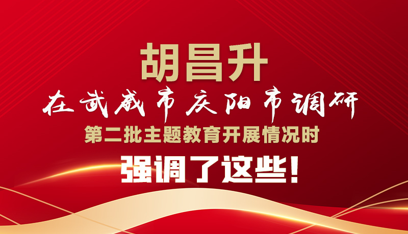 圖解|胡昌升在武威市慶陽市調(diào)研第二批主題教育開展情況時強調(diào)了這些！