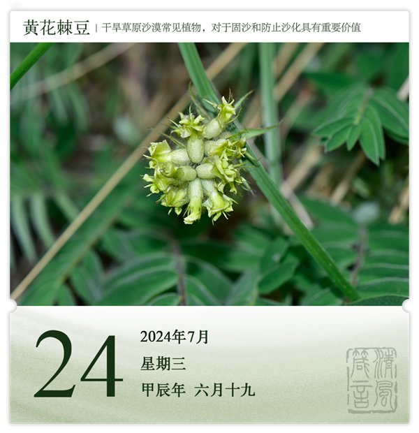 1721720696620416.png 箴歷日歷7-24.png