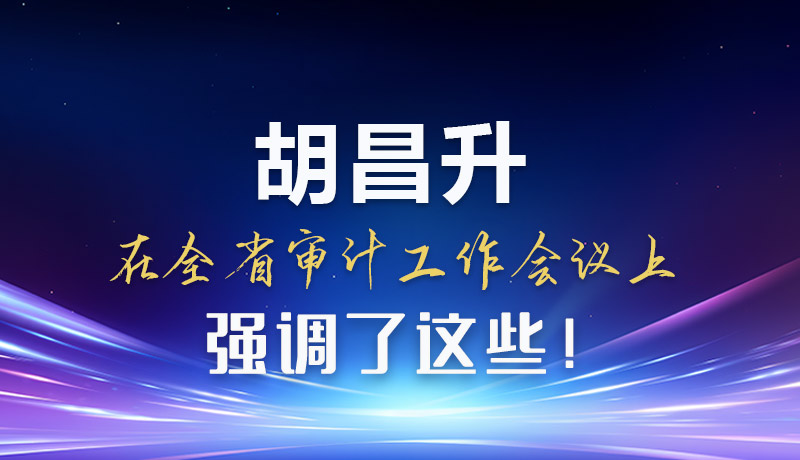 圖解|胡昌升在全省審計工作會議上強調(diào)了這些！