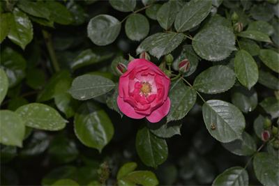 1737514318845331.jpg 20-01.jpg