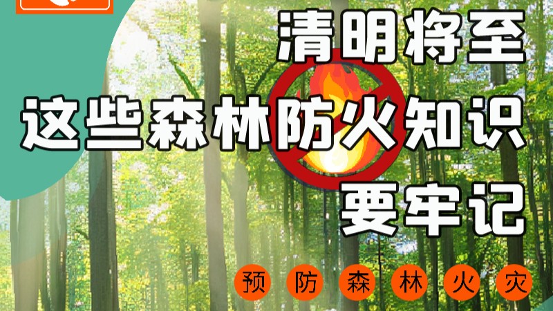 【甘快看】圖解|緊繃“安全弦”！清明，這些森林防火知識(shí)要牢記
