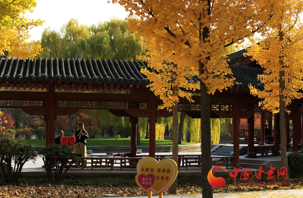 隴拍客丨永靖初冬“秋色”美