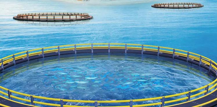 從零開始 | HDPE管材——風浪中的傾情守護