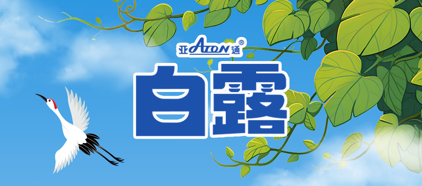 白露 | 日漸轉(zhuǎn)涼，寒生凝露