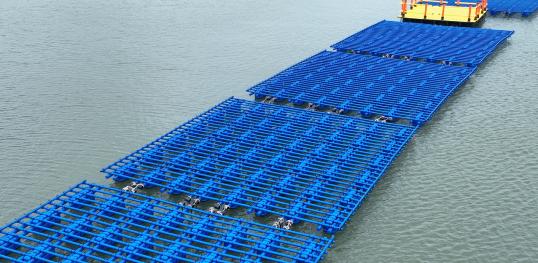 亞通資訊 | 無(wú)懼超強(qiáng)臺(tái)風(fēng)”摩羯”考驗(yàn)，亞通新型環(huán)保塑膠蠔排助力湛江蠔業(yè)發(fā)展！