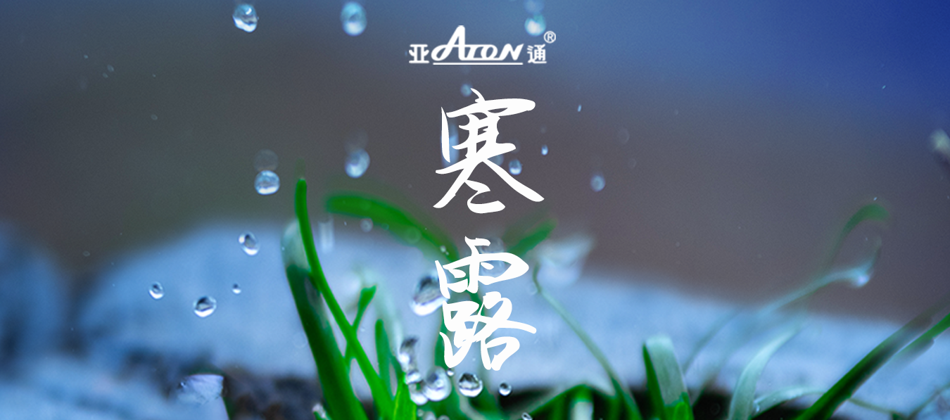 寒露 | 疏枝凝霜露，千山頌金秋