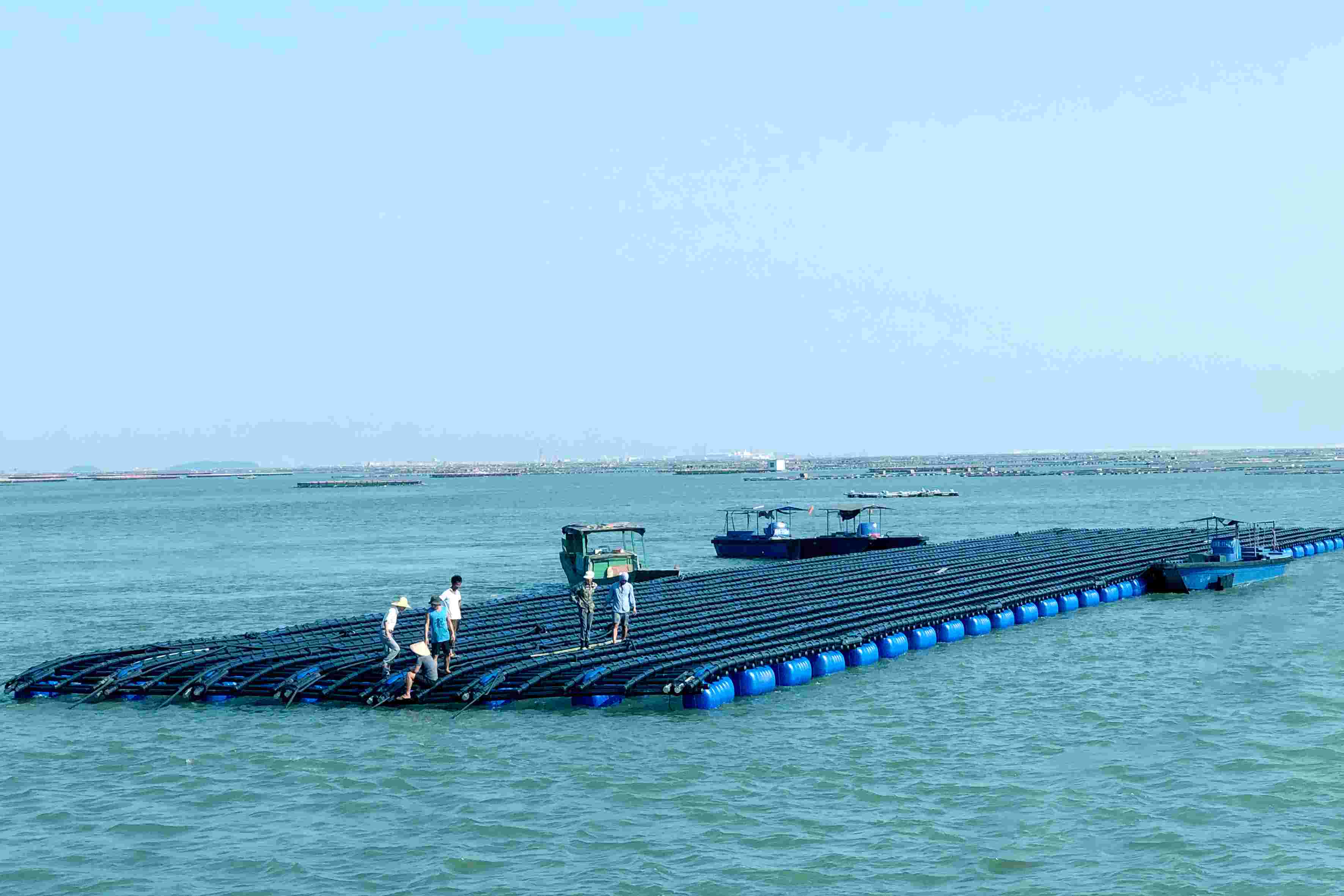 亞通海洋養(yǎng)殖裝備設施系統(tǒng)-深?？癸L浪蠔排(第一代)