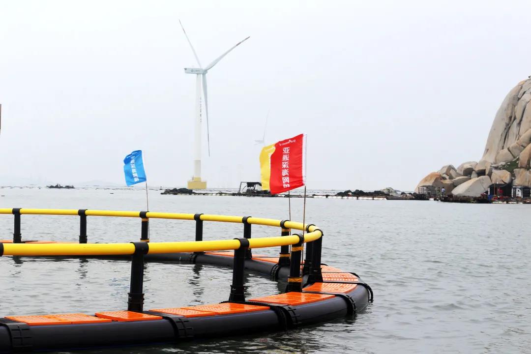 1628822846703569.jpg 2.jpg