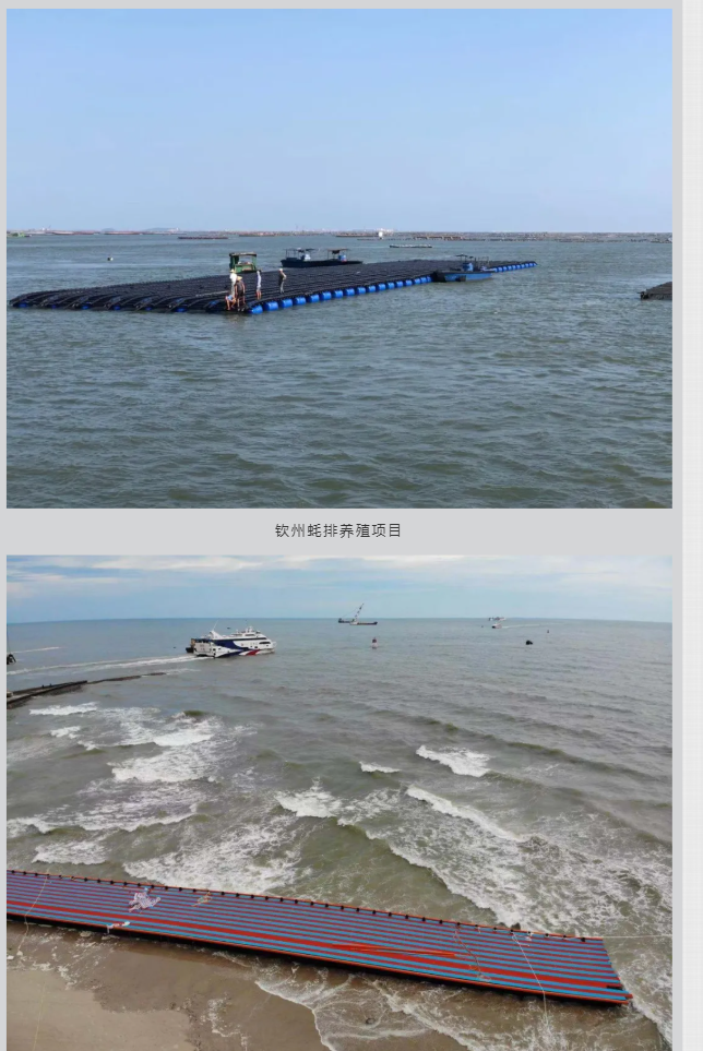 1635324646872899.png 5.png