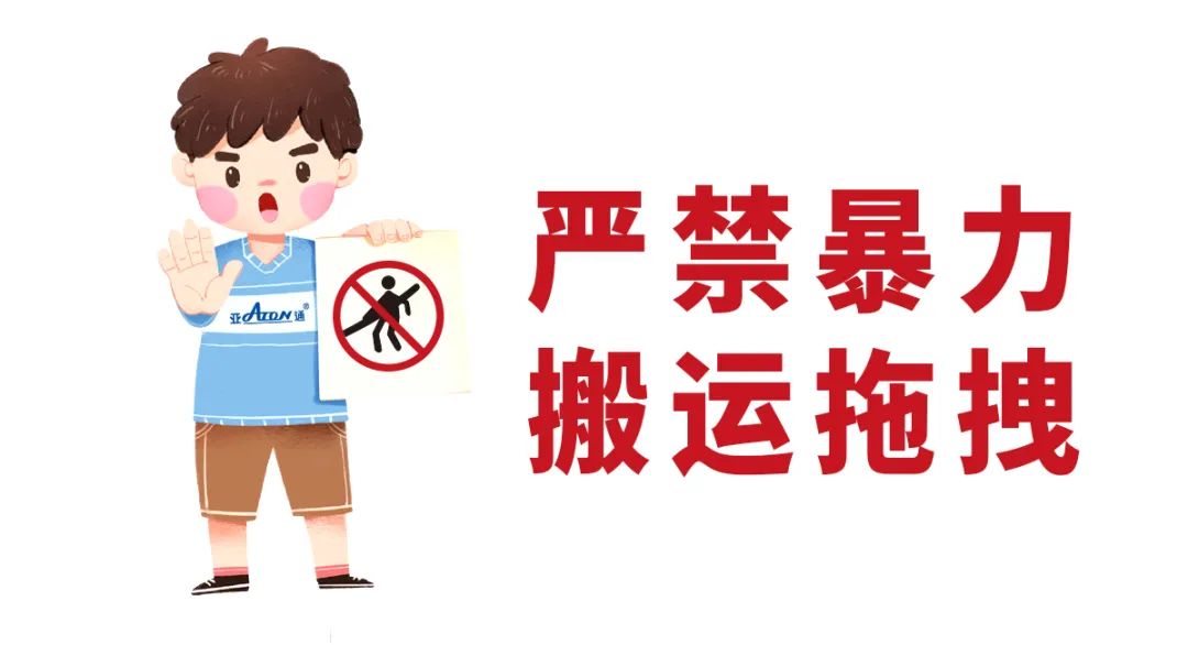 1693882634254446.jpg 2.jpg