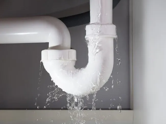 1733465351130270.png 640.png